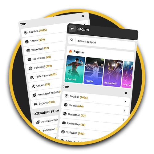 Explore the available sports to bet on at Melbet betting app.